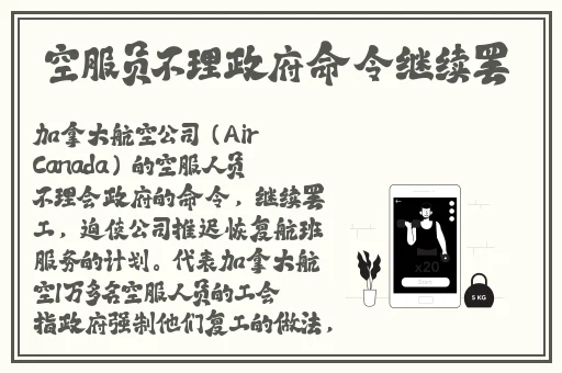 班级的公共玩具渺渺